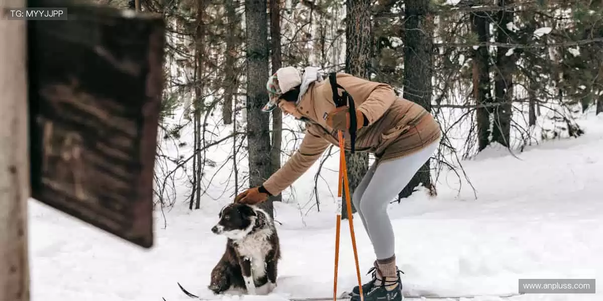 📺高清直播,每一个进球都让你身临其境!🏀